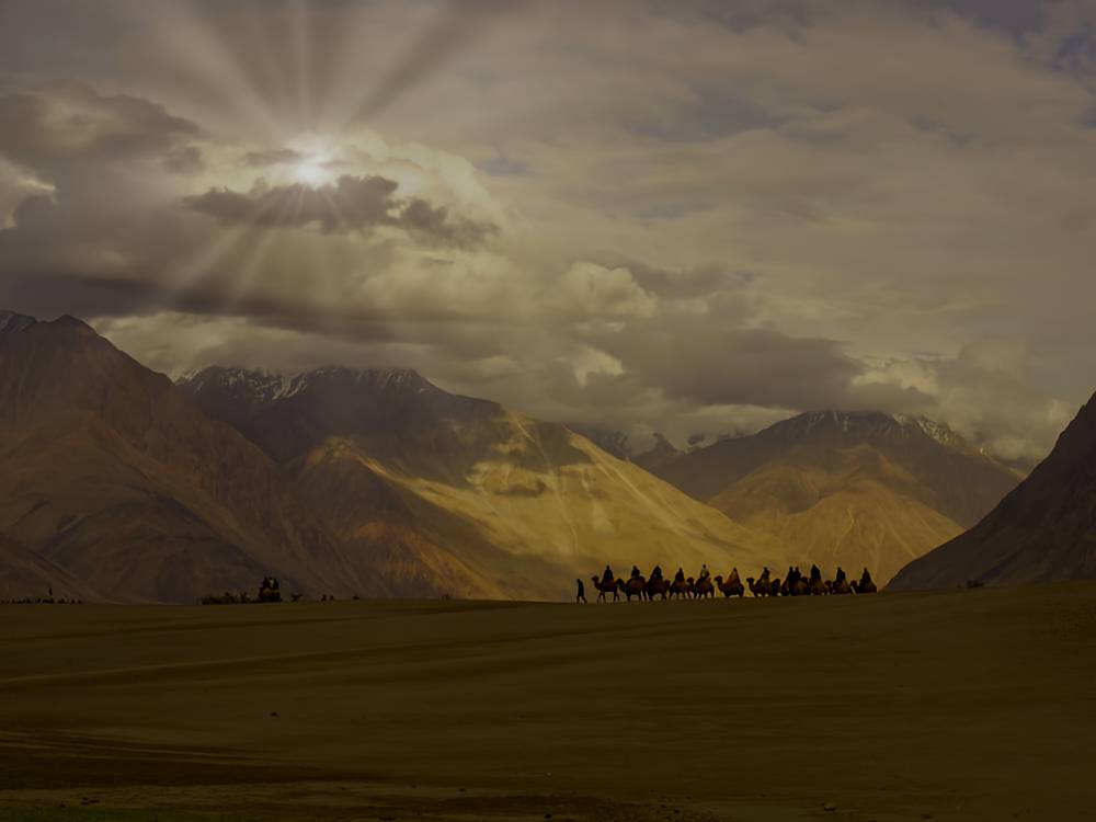 Caravan of camels in the distance against mountains in Leh, India